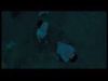 potterish_channel5_tv__06_~0.jpg