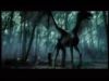 potterish_channel5_tv__1_2~0.jpg