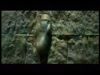 potterish_channel5_tv___24.jpg
