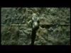 potterish_channel5_tv___26.jpg