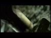potterish_channel5_tv___2_~0.jpg