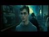 potterish_channel5_tv___5_~0.jpg