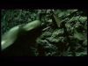 potterish_channel5_tv__844.jpg