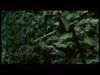 potterish_channel5_tv__845.jpg