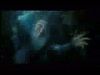 potterish_channel5_tv__88_~0.jpg