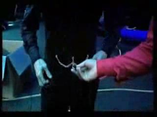 potterish_doc_figurino__0124.jpg potterish_doc_figurino__0124.jpg