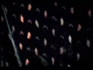 potterish_doc_figurino__0194.jpg