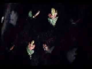 potterish_doc_figurino__0247.jpg