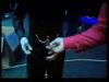 potterish_doc_figurino__0125.jpg