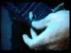 potterish_doc_figurino__0135.jpg