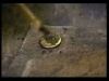 potterish_doc_figurino__0865.jpg
