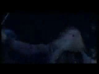 potterish_doc_figurino__0002.jpg