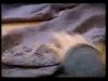 potterish_doc_figurino__0109.jpg