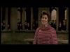 potterish_doc_figurino__0154.jpg