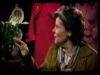 potterish_doc_figurino__0310.jpg