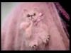 potterish_doc_figurino__0358.jpg