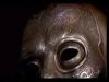 potterish_doc_figurino__0686.jpg
