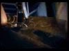 potterish_doc_figurino__0915.jpg
