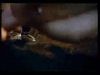 potterish_doc_figurino__0916.jpg