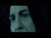 potterish_doc_figurino__1032.jpg