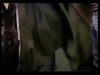 potterish_doc_figurino__1054.jpg