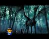 potterish_GMTV_tv__782.jpg