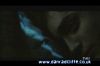 potterish_tv_sunrise__026_~0.jpg