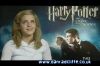 potterish_tv_sunrise__07_8~0.jpg