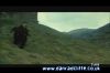 potterish_tv_sunrise__105_~0.jpg