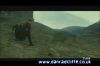 potterish_tv_sunrise__1061.jpg