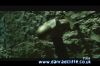 potterish_tv_sunrise__107_~0.jpg