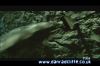 potterish_tv_sunrise__1080.jpg
