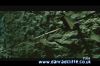 potterish_tv_sunrise__1081.jpg