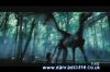 potterish_tv_sunrise__1404.jpg