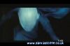 potterish_tv_sunrise__1_76.jpg