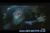 potterish_tv_sunrise__1578.jpg