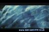 potterish_tv_sunrise__157_~0.jpg