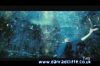 potterish_tv_sunrise__15_2~0.jpg