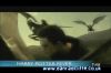 potterish_tv_sunrise__1727.jpg