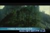 potterish_tv_sunrise__17_4.jpg