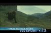 potterish_tv_sunrise__1885.jpg