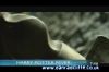 potterish_tv_sunrise__18_1.jpg