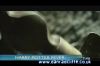 potterish_tv_sunrise__18_2.jpg