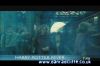 potterish_tv_sunrise__18_4.jpg