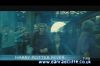 potterish_tv_sunrise__18_5.jpg