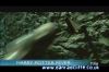 potterish_tv_sunrise__1_01.jpg