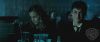 spot01_odf_potterish__016.jpg
