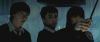 spot01_odf_potterish__058.jpg