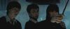 spot01_odf_potterish__060.jpg