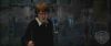 spot01_odf_potterish__10_.jpg